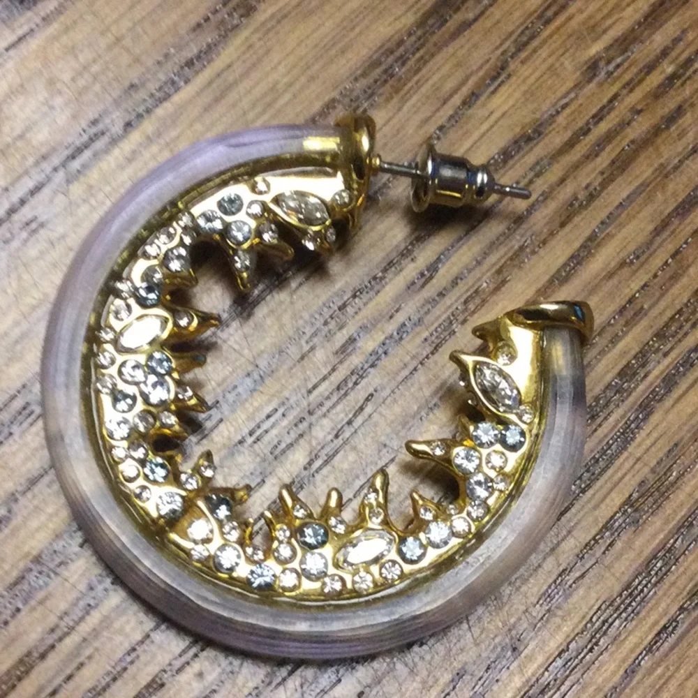 Alexis Bittar Lucite And Rhinestone Hoop Earrings - Picture 7 of 7